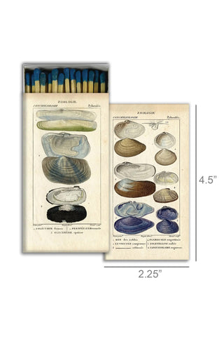 Matches - Shell Specimens