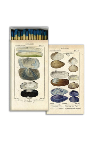 Matches - Shell Specimens