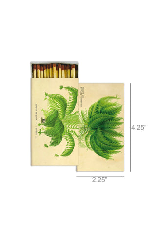 Matches - Ferns - Sepia Background - Brown