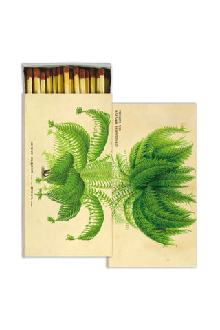 Matches - Ferns - Sepia Background - Brown