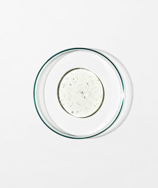 Invigorate Hand Wash