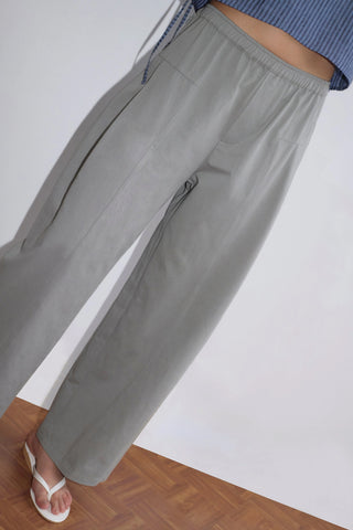 Pleat Pant in Sage Grey