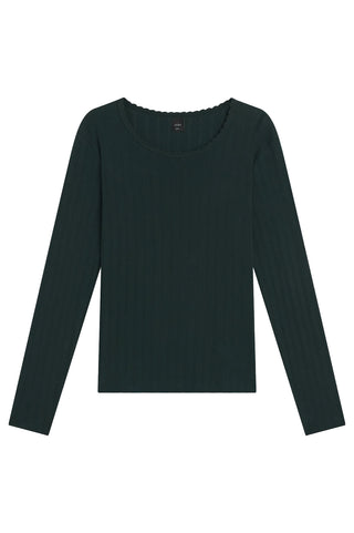 Pointelle Slim Fit Long Sleeve in Forest