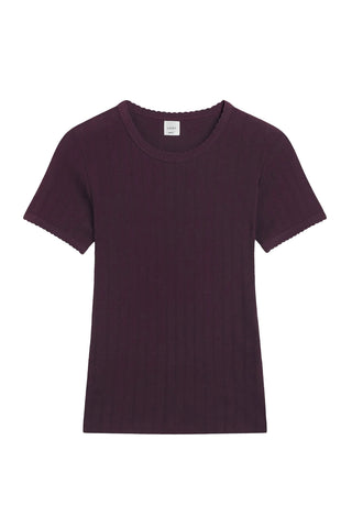 Pointelle Slim Fit Tee in Dark Berry