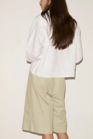 Collar Point Shirt in White