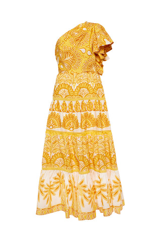 Ainika Tapestry Maxi Dress