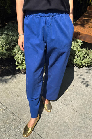 Gardener's Pants in Deep Blue