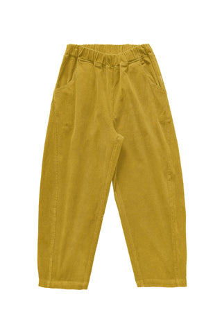 Corduroy Arc Pants in Green Olive