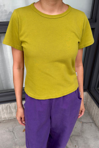 Little Boy Tee in Golden Olive