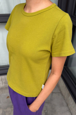 Little Boy Tee in Golden Olive
