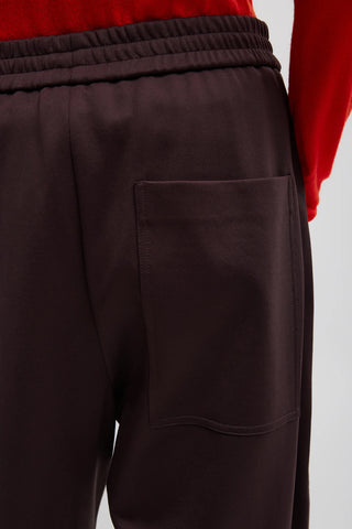 Active Knit Winslow Pant in Brown
