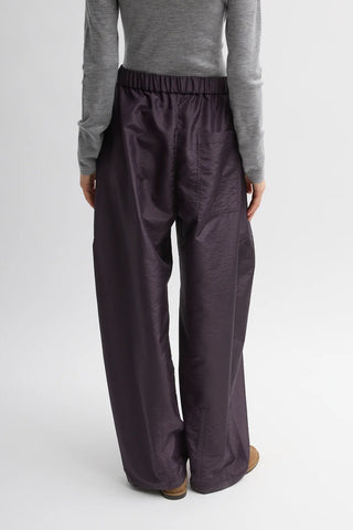 Crispy Nylon Winslow Pant in Eggplant
