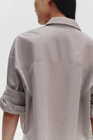 Next Ex Shirt in White/Chocolate